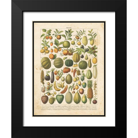 French Fruit Chart Black Modern Wood Framed Art Print with Double Matting by Babbitt, Gwendolyn