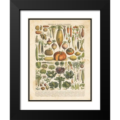 French Vegetable Chart Black Modern Wood Framed Art Print with Double Matting by Babbitt, Gwendolyn