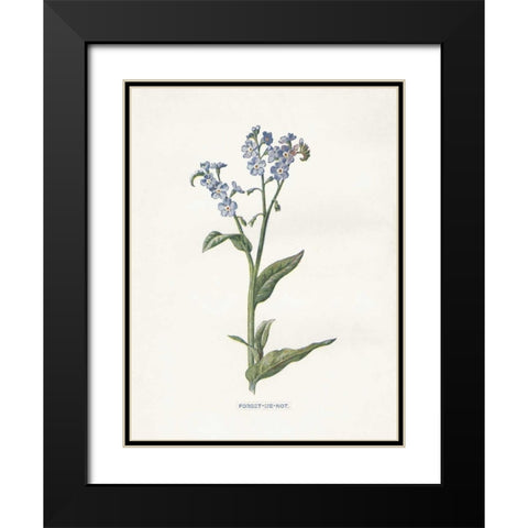 Forget me Not Black Modern Wood Framed Art Print with Double Matting by Babbitt, Gwendolyn