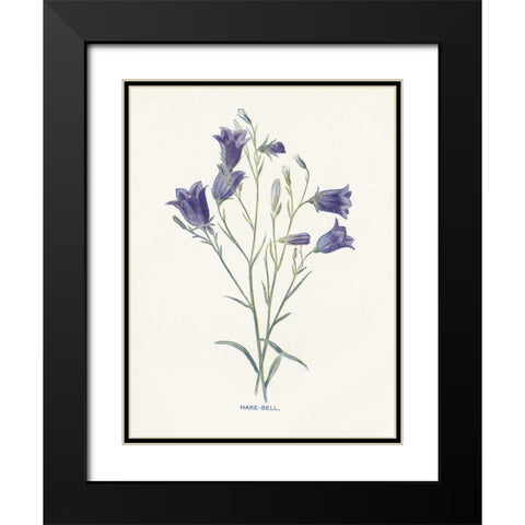Hare-Bell Black Modern Wood Framed Art Print with Double Matting by Babbitt, Gwendolyn