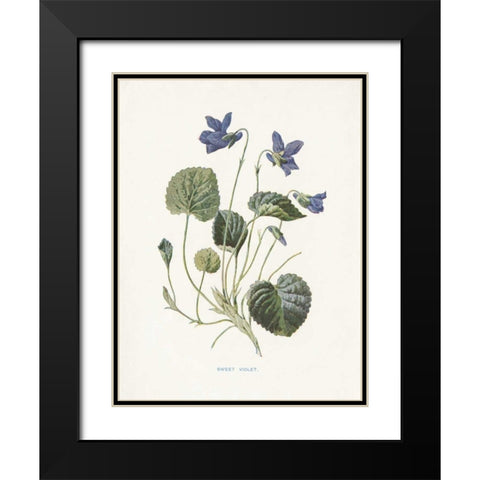 Sweet Violets Black Modern Wood Framed Art Print with Double Matting by Babbitt, Gwendolyn