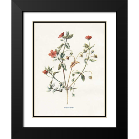 Pimpernel Black Modern Wood Framed Art Print with Double Matting by Babbitt, Gwendolyn