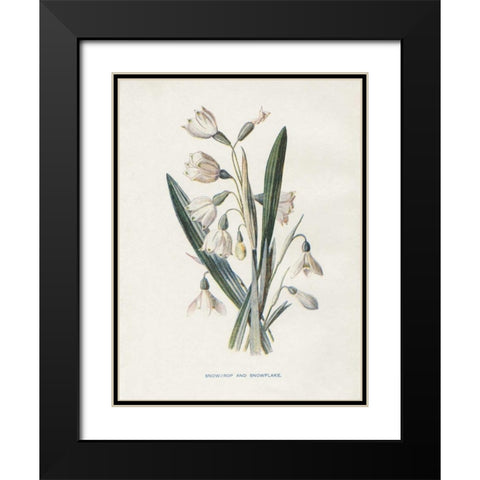Snowdrop and Snowflake Black Modern Wood Framed Art Print with Double Matting by Babbitt, Gwendolyn