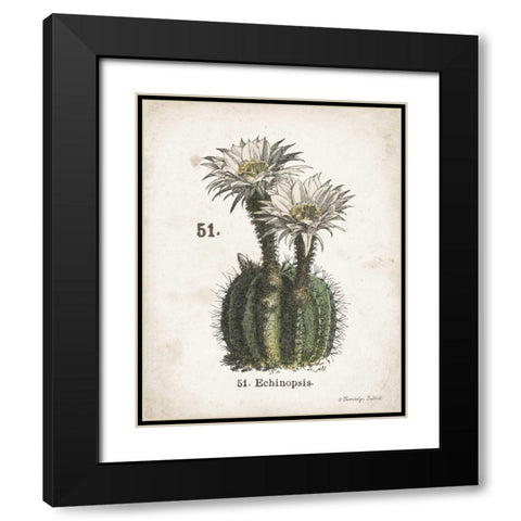 Cacti IV Black Modern Wood Framed Art Print with Double Matting by Babbitt, Gwendolyn