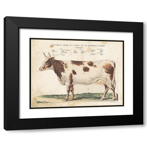 Anatomical Model Cow Black Modern Wood Framed Art Print with Double Matting by Babbitt, Gwendolyn