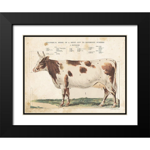 Anatomical Model Cow Black Modern Wood Framed Art Print with Double Matting by Babbitt, Gwendolyn