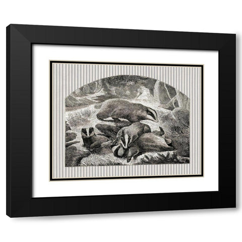 Badger Mom and Cubs Black Modern Wood Framed Art Print with Double Matting by Babbitt, Gwendolyn