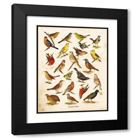 Bird Chart I Black Modern Wood Framed Art Print with Double Matting by Babbitt, Gwendolyn