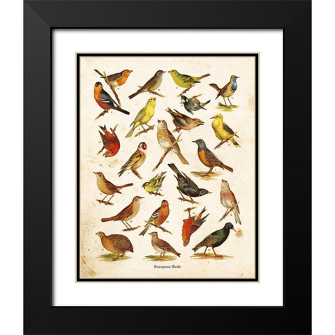 Bird Chart I Black Modern Wood Framed Art Print with Double Matting by Babbitt, Gwendolyn