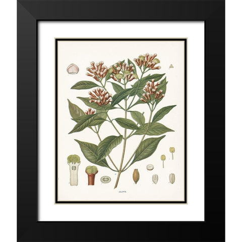 Clove Botanical Black Modern Wood Framed Art Print with Double Matting by Babbitt, Gwendolyn