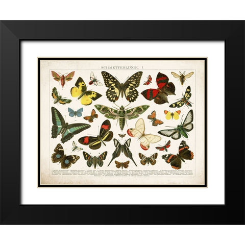 Butterfly Chart Black Modern Wood Framed Art Print with Double Matting by Babbitt, Gwendolyn