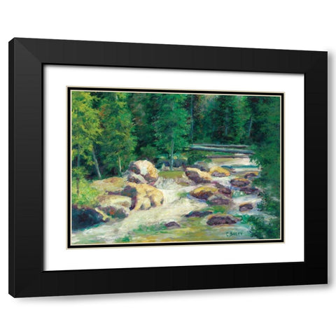 Cascading Stream Black Modern Wood Framed Art Print with Double Matting by Bailey, Carol