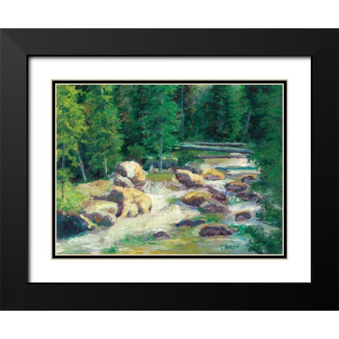 Cascading Stream Black Modern Wood Framed Art Print with Double Matting by Bailey, Carol
