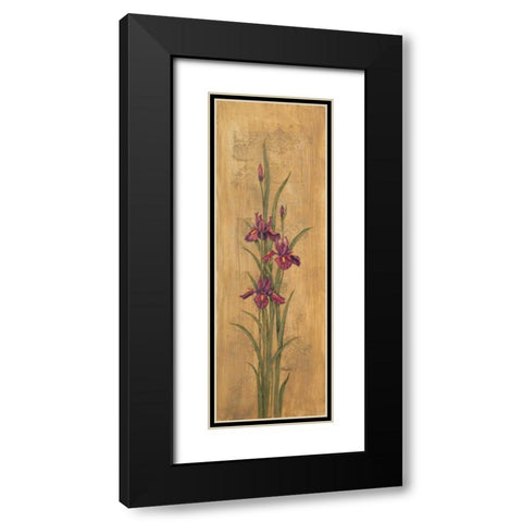 Iris of Delos II Black Modern Wood Framed Art Print with Double Matting by Brent, Paul