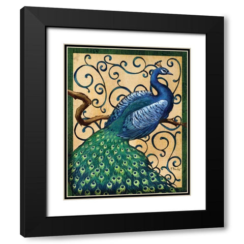 Majestic Peacock I Black Modern Wood Framed Art Print with Double Matting by Brent, Paul