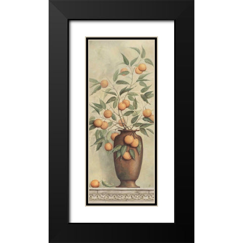 Apricotier Black Modern Wood Framed Art Print with Double Matting by Brissonnet, Daphne