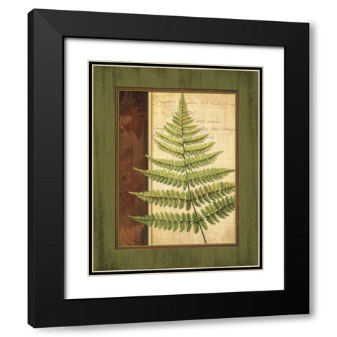 Fern Grotto I Black Modern Wood Framed Art Print with Double Matting by Corbin, Delphine