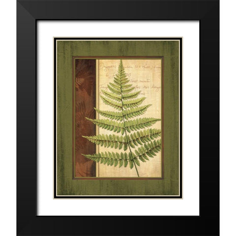 Fern Grotto I Black Modern Wood Framed Art Print with Double Matting by Corbin, Delphine