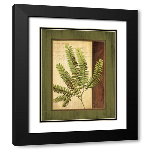 Fern Grotto II Black Modern Wood Framed Art Print with Double Matting by Corbin, Delphine