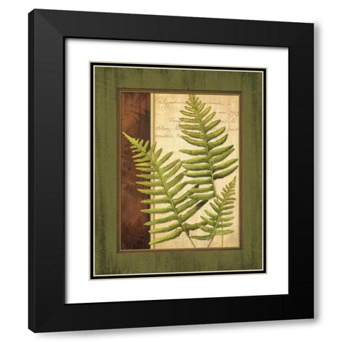 Fern Grotto III Black Modern Wood Framed Art Print with Double Matting by Corbin, Delphine