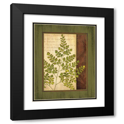 Fern Grotto IV Black Modern Wood Framed Art Print with Double Matting by Corbin, Delphine