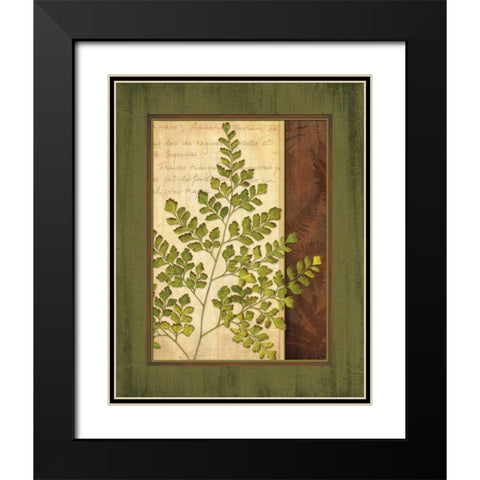 Fern Grotto IV Black Modern Wood Framed Art Print with Double Matting by Corbin, Delphine