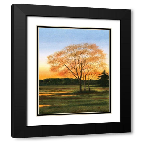 Marsh at Dusk II Black Modern Wood Framed Art Print with Double Matting by Duke, William