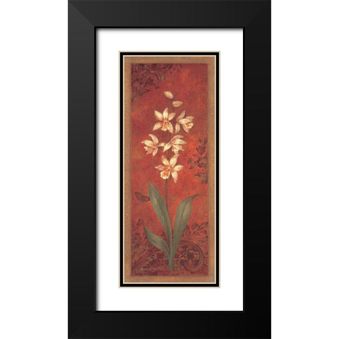 Cymbidium Black Modern Wood Framed Art Print with Double Matting by Gladding, Pamela