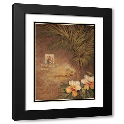 West Indies Sunset II Black Modern Wood Framed Art Print with Double Matting by Gladding, Pamela