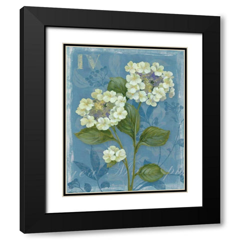 Lace Hydrangea Black Modern Wood Framed Art Print with Double Matting by Gladding, Pamela
