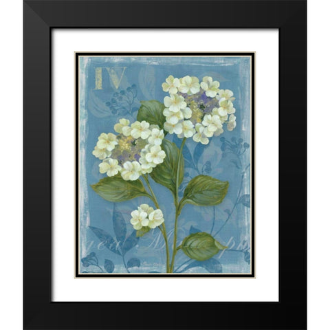 Lace Hydrangea Black Modern Wood Framed Art Print with Double Matting by Gladding, Pamela
