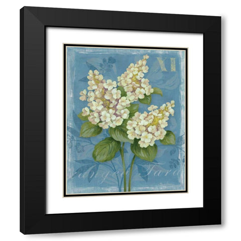 Tardiva Hydrangea Black Modern Wood Framed Art Print with Double Matting by Gladding, Pamela
