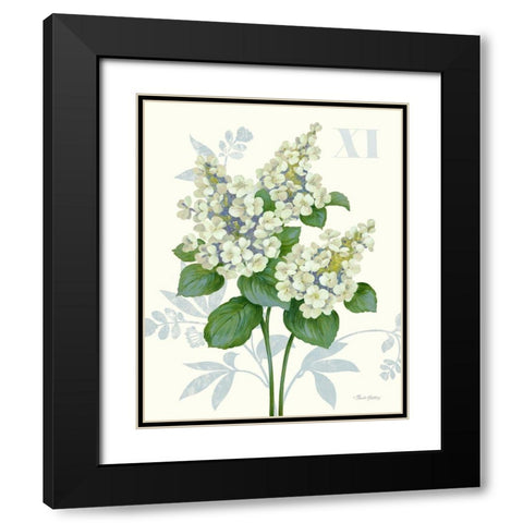 Tardiva Hydrangea Black Modern Wood Framed Art Print with Double Matting by Gladding, Pamela
