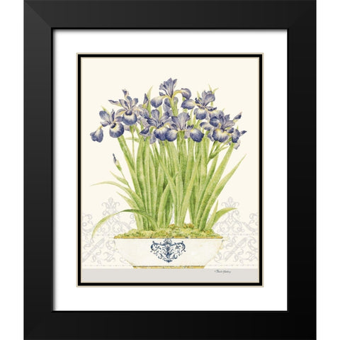 Imperial Irises Black Modern Wood Framed Art Print with Double Matting by Gladding, Pamela