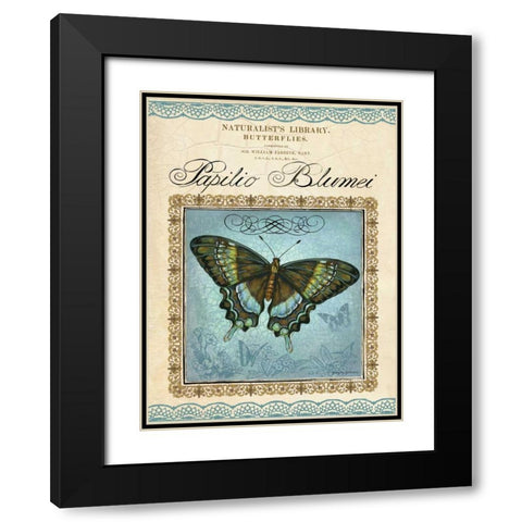 Papilio Blumei Black Modern Wood Framed Art Print with Double Matting by Gorham, Gregory