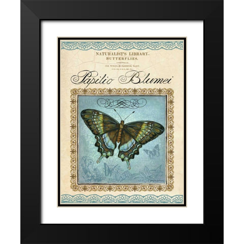Papilio Blumei Black Modern Wood Framed Art Print with Double Matting by Gorham, Gregory