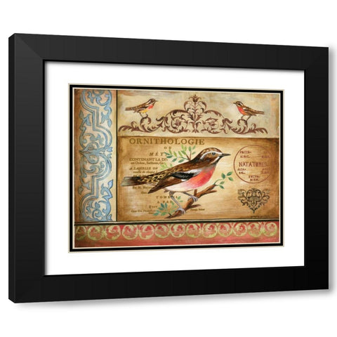 Ornithology Black Modern Wood Framed Art Print with Double Matting by Gorham, Gregory