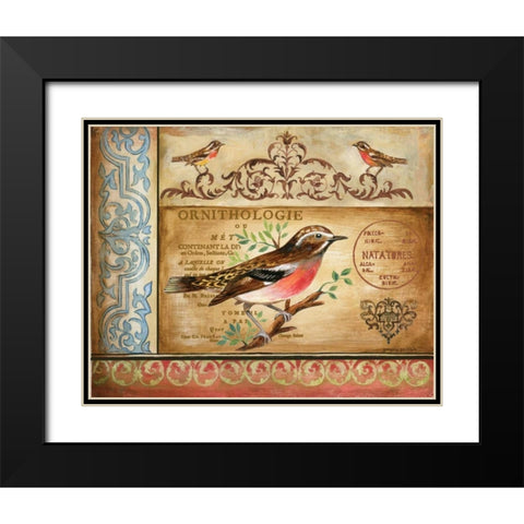 Ornithology Black Modern Wood Framed Art Print with Double Matting by Gorham, Gregory