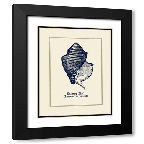 Unicorn Shell Black Modern Wood Framed Art Print with Double Matting by Gorham, Gregory