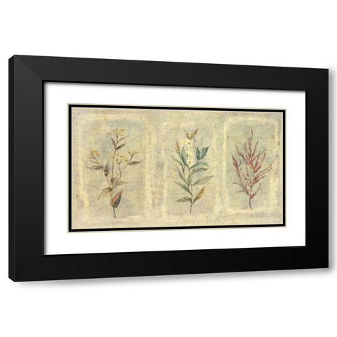 Crackle Sprigs II Black Modern Wood Framed Art Print with Double Matting by Hargittai, Paul