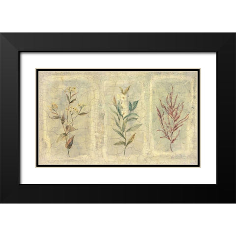Crackle Sprigs II Black Modern Wood Framed Art Print with Double Matting by Hargittai, Paul