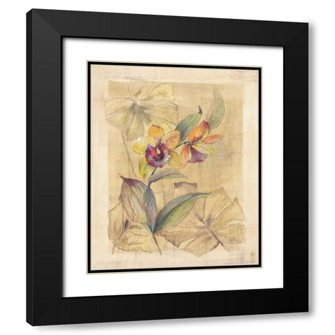 Bahama Breeze I Black Modern Wood Framed Art Print with Double Matting by Hargittai, Paul