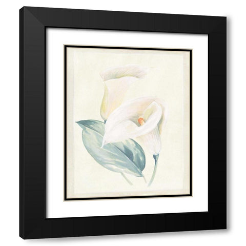 Calla Lily I Black Modern Wood Framed Art Print with Double Matting by Hargittai, Paul