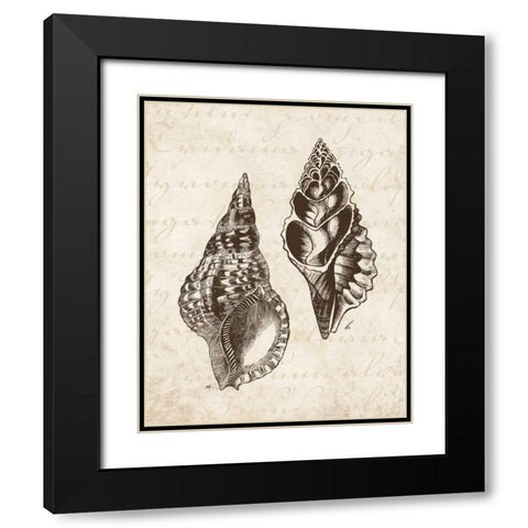 Elegant Shells I - mini Black Modern Wood Framed Art Print with Double Matting by Harbick, N