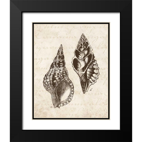 Elegant Shells I - mini Black Modern Wood Framed Art Print with Double Matting by Harbick, N