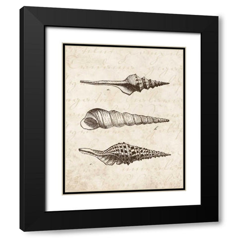 Elegant Shells II - mini Black Modern Wood Framed Art Print with Double Matting by Harbick, N