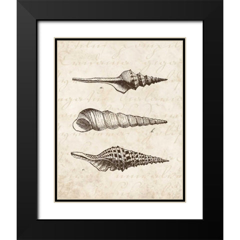 Elegant Shells II - mini Black Modern Wood Framed Art Print with Double Matting by Harbick, N