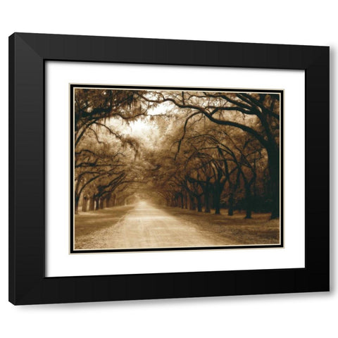 Savannah Oaks I Black Modern Wood Framed Art Print with Double Matting by Hausenflock, Alan