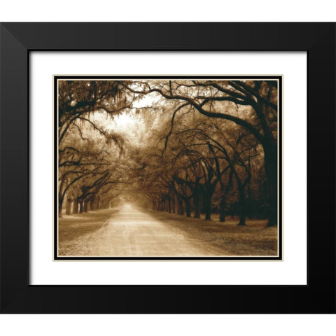 Savannah Oaks I Black Modern Wood Framed Art Print with Double Matting by Hausenflock, Alan