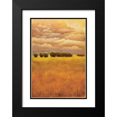 Golden Fields I Black Modern Wood Framed Art Print with Double Matting by Girard, Thomas